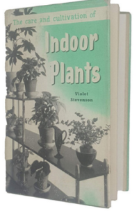 The care and cultivation of Indoor Plants