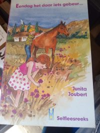 Eendag het daar iets gebeur - front cover